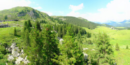 Bärenland