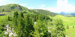 Bear Sanctuary