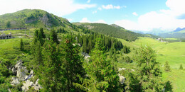 Bärenland
