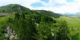 Bear Sanctuary