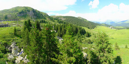 Bärenland