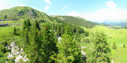 Bear Sanctuary