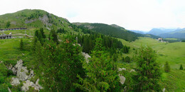 Bärenland