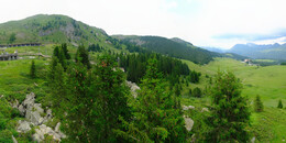 Bear Sanctuary