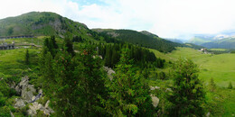 Bärenland