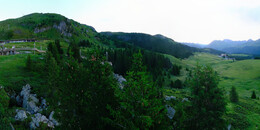 Bear Sanctuary
