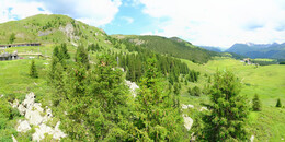 Bärenland