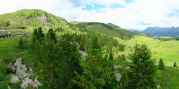 Bear Sanctuary