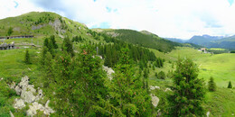 Bear Sanctuary