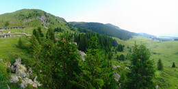 Bear Sanctuary