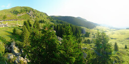 Bear Sanctuary