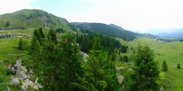 Bear Sanctuary