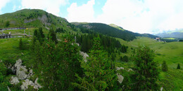 Bear Sanctuary