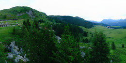 Bear Sanctuary