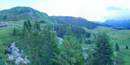 Bear Sanctuary