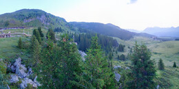 Bear Sanctuary