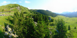 Bärenland