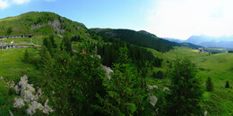 Bear Sanctuary