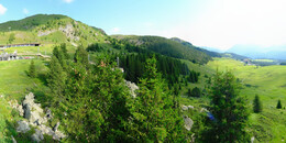 Bear Sanctuary