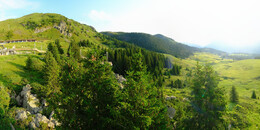 Bear Sanctuary