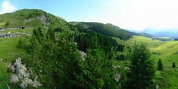 Bear Sanctuary