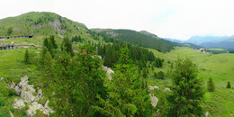 Bear Sanctuary
