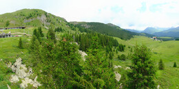 Bear Sanctuary