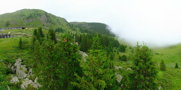 Bärenland