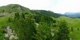 Bear Sanctuary