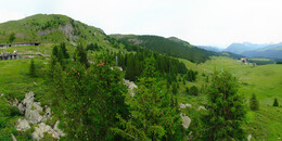 Bear Sanctuary
