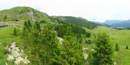 Bear Sanctuary