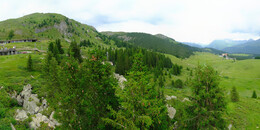 Bear Sanctuary