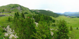 Bear Sanctuary