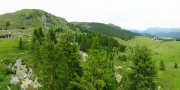 Bear Sanctuary
