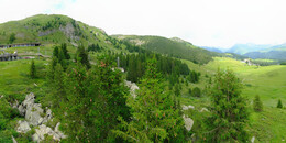 Bear Sanctuary