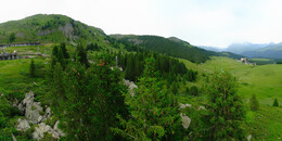 Bärenland