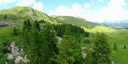Bear Sanctuary