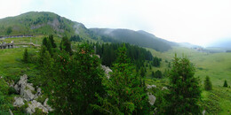 Bear Sanctuary