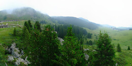 Bear Sanctuary