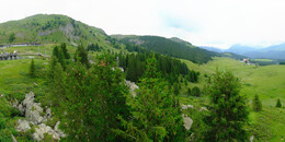 Bear Sanctuary