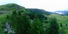 Bear Sanctuary