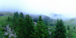 Bärenland