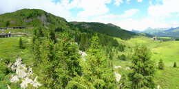 Bear Sanctuary