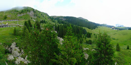 Bear Sanctuary