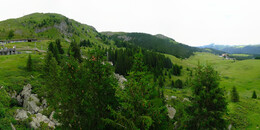 Bear Sanctuary