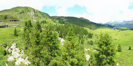 Bear Sanctuary