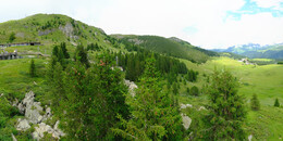 Bear Sanctuary