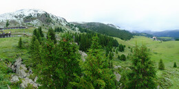 Bear Sanctuary