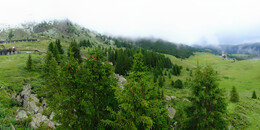 Bärenland