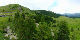 Bear Sanctuary